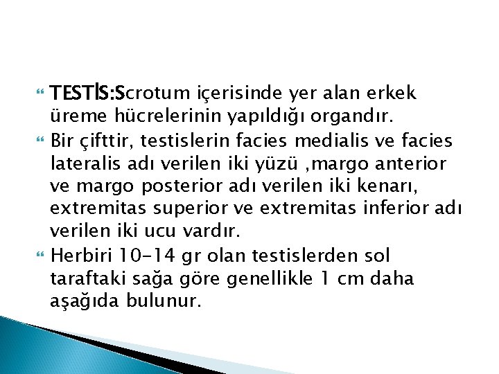 TESTİS: Scrotum içerisinde yer alan erkek üreme hücrelerinin yapıldığı organdır. Bir çifttir, testislerin TESTİS: Scrotum içerisinde yer alan erkek üreme hücrelerinin yapıldığı organdır. Bir çifttir, testislerin