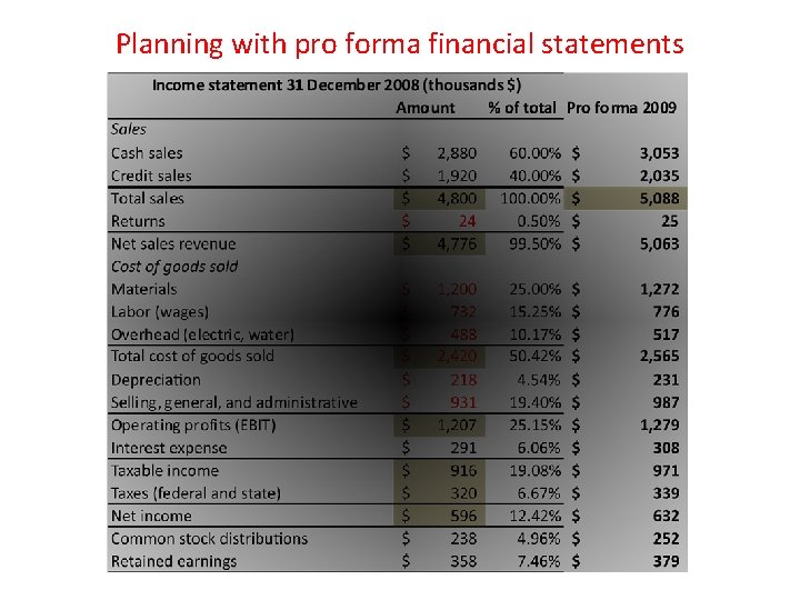 Planning with pro forma financial statements 