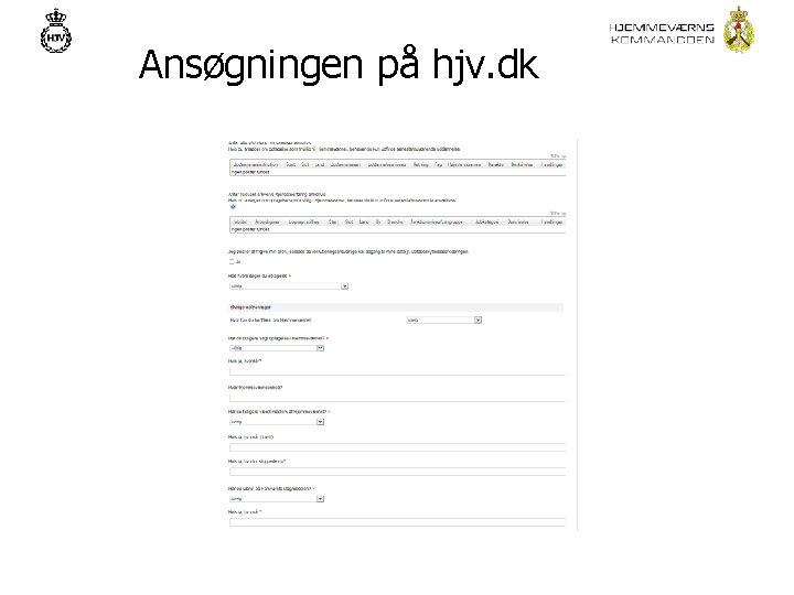 Ansøgningen på hjv. dk 