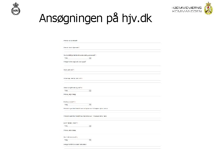 Ansøgningen på hjv. dk 