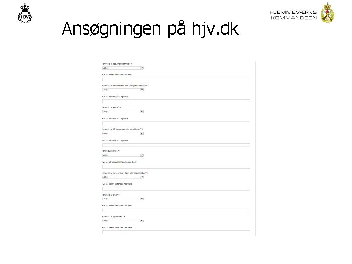 Ansøgningen på hjv. dk 