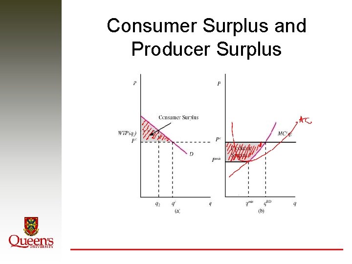 Consumer Surplus and Producer Surplus 