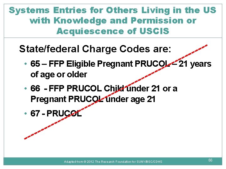 Systems Entries for Others Living in the US with Knowledge and Permission or Acquiescence