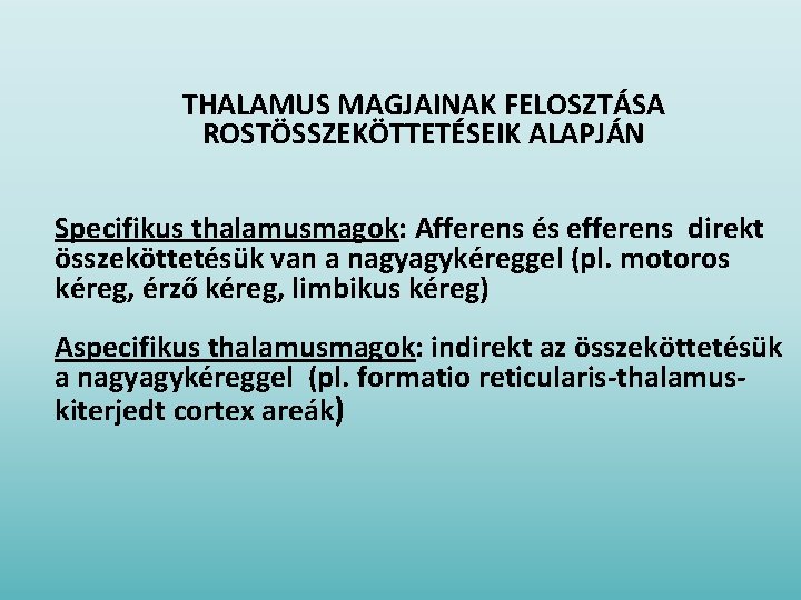 THALAMUS MAGJAINAK FELOSZTÁSA ROSTÖSSZEKÖTTETÉSEIK ALAPJÁN Specifikus thalamusmagok: Afferens és efferens direkt összeköttetésük van a