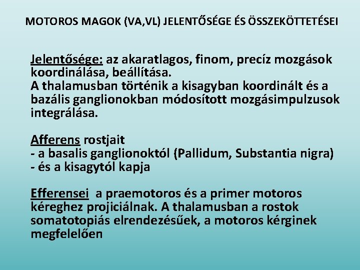 MOTOROS MAGOK (VA, VL) JELENTŐSÉGE ÉS ÖSSZEKÖTTETÉSEI Jelentősége: az akaratlagos, finom, precíz mozgások koordinálása,