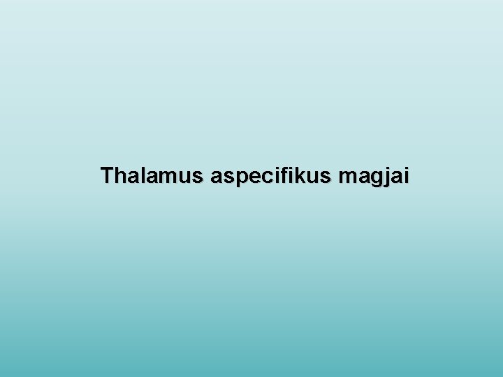 Thalamus aspecifikus magjai 