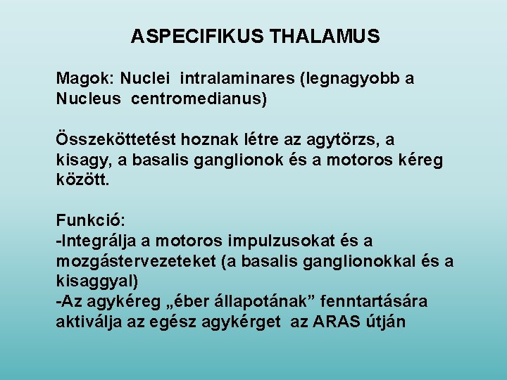 ASPECIFIKUS THALAMUS Magok: Nuclei intralaminares (legnagyobb a Nucleus centromedianus) Összeköttetést hoznak létre az agytörzs,