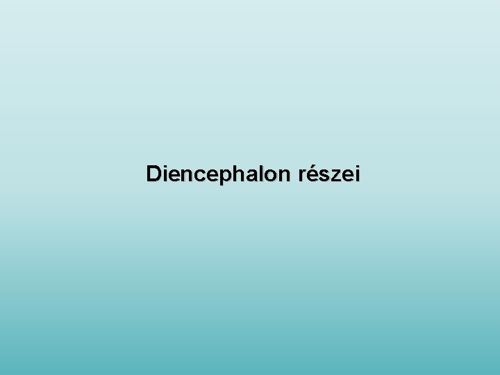 Diencephalon részei 