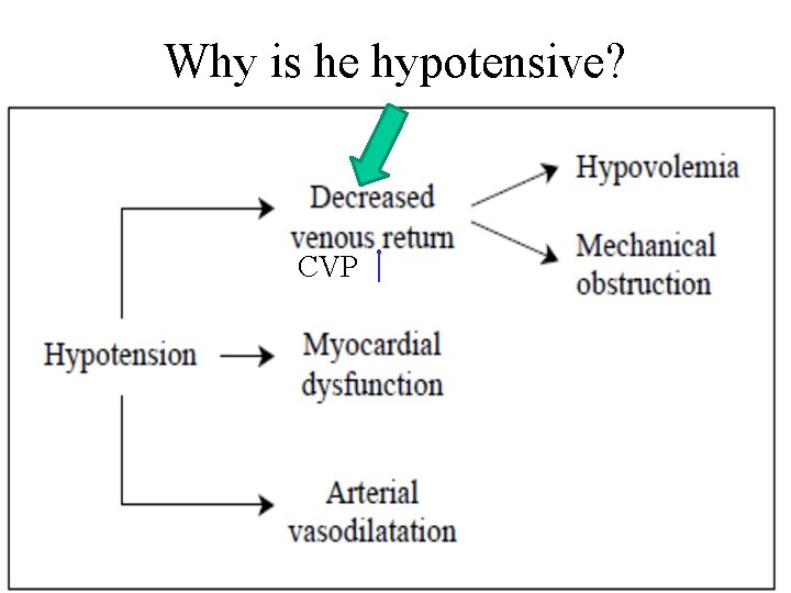 Why is he hypotensive? CVP 