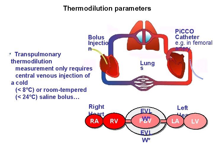 A. Thermodilution parameters Pi. CCO Catheter e. g. in femoral artery Bolus Injectio n