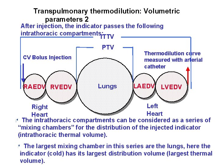 Transpulmonary thermodilution: Volumetric parameters 2 After injection, the indicator passes the following intrathoracic compartments: