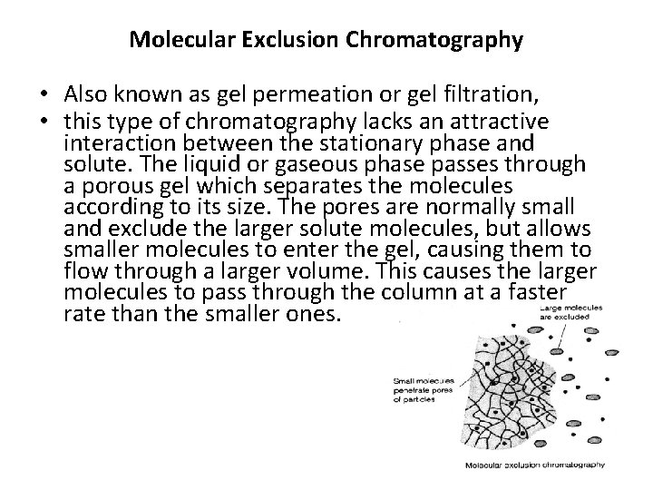 Molecular Exclusion Chromatography • Also known as gel permeation or gel filtration, • this