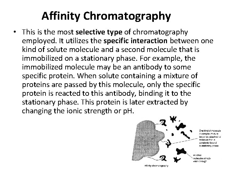 Affinity Chromatography • This is the most selective type of chromatography employed. It utilizes