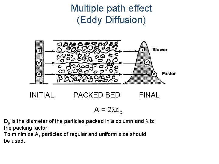 Multiple path effect (Eddy Diffusion) INITIAL PACKED BED FINAL A = 2 ldp Dp