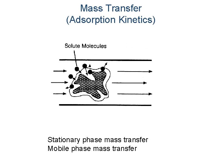 Mass Transfer (Adsorption Kinetics) Stationary phase mass transfer Mobile phase mass transfer 