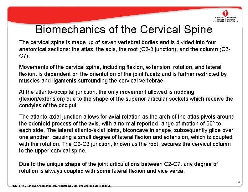 Biomechanics of the Cervical Spine The cervical spine is made up of seven vertebral