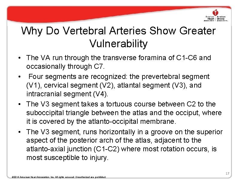 Why Do Vertebral Arteries Show Greater Vulnerability • The VA run through the transverse