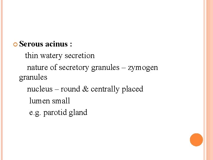  Serous acinus : thin watery secretion nature of secretory granules – zymogen granules