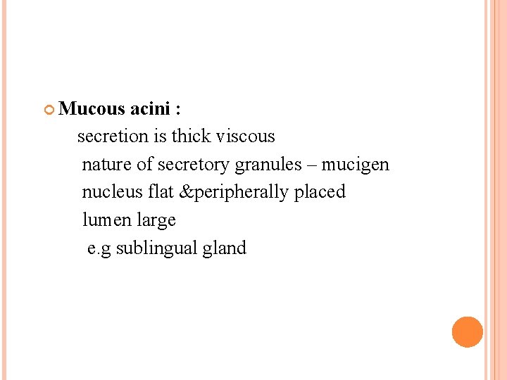  Mucous acini : secretion is thick viscous nature of secretory granules – mucigen