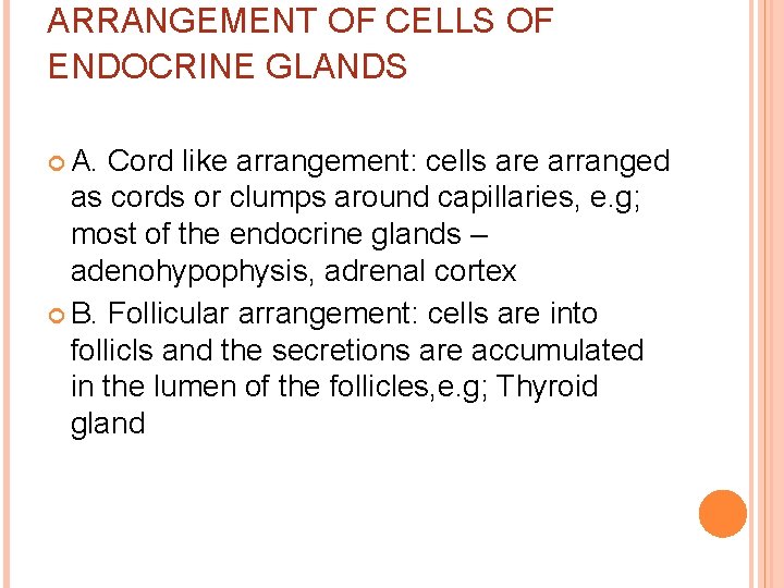 ARRANGEMENT OF CELLS OF ENDOCRINE GLANDS A. Cord like arrangement: cells are arranged as