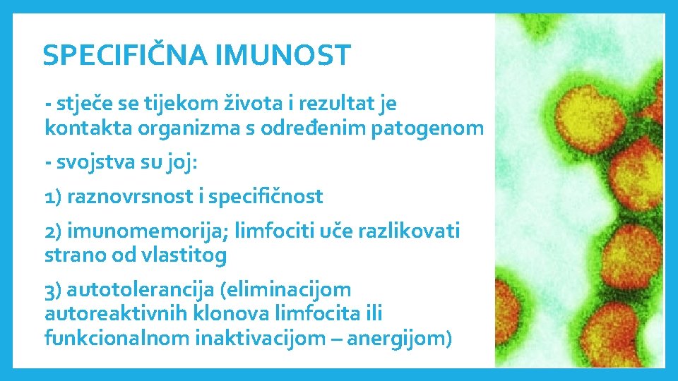 SPECIFIČNA IMUNOST - stječe se tijekom života i rezultat je kontakta organizma s određenim SPECIFIČNA IMUNOST - stječe se tijekom života i rezultat je kontakta organizma s određenim