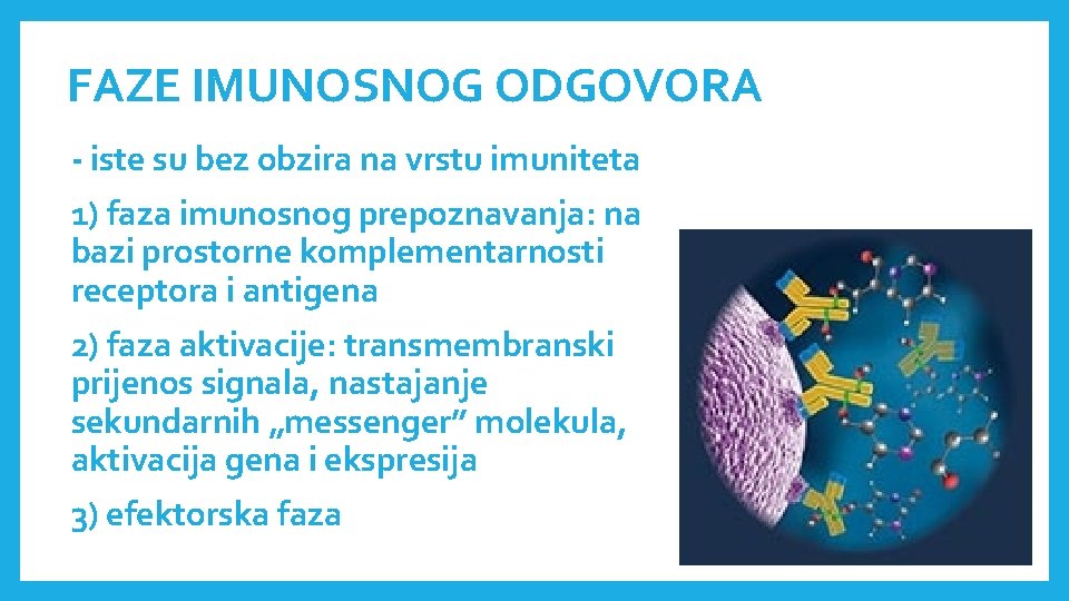 FAZE IMUNOSNOG ODGOVORA - iste su bez obzira na vrstu imuniteta 1) faza imunosnog