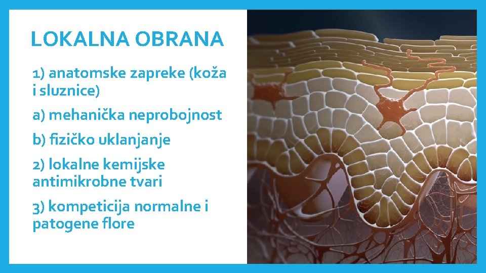 LOKALNA OBRANA 1) anatomske zapreke (koža i sluznice) a) mehanička neprobojnost b) fizičko uklanjanje