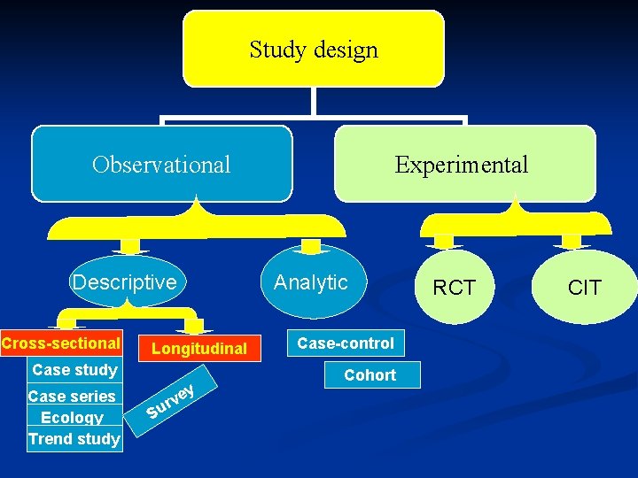 Study design Observational Descriptive Cross-sectional Longitudinal Case study Case series Ecology Trend study Su Study design Observational Descriptive Cross-sectional Longitudinal Case study Case series Ecology Trend study Su