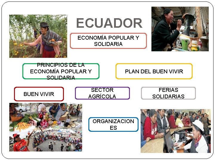 ECUADOR ECONOMÍA POPULAR Y SOLIDARIA PRINCIPIOS DE LA ECONOMÍA POPULAR Y SOLIDARIA BUEN VIVIR