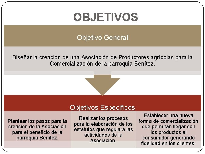 OBJETIVOS Objetivo General Diseñar la creación de una Asociación de Productores agrícolas para la