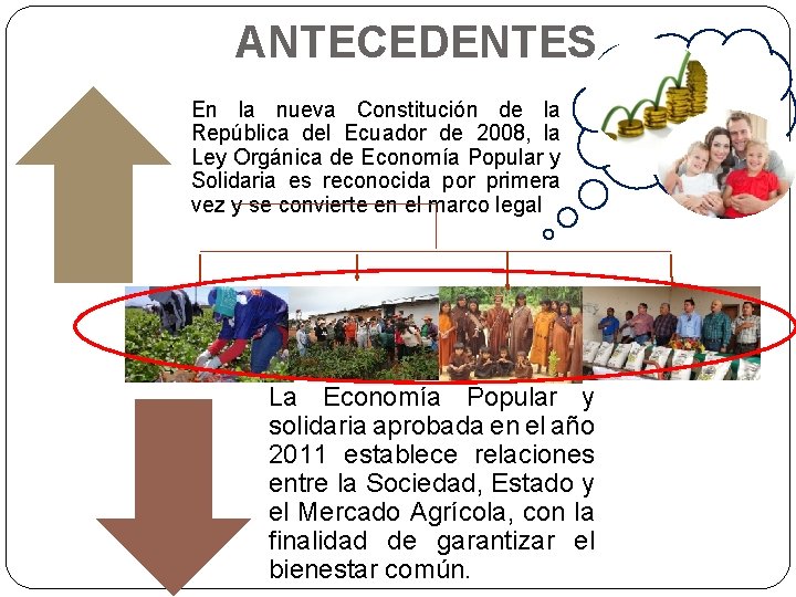 ANTECEDENTES En la nueva Constitución de la República del Ecuador de 2008, la Ley