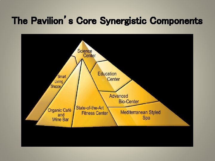 The Pavilion’s Core Synergistic Components 