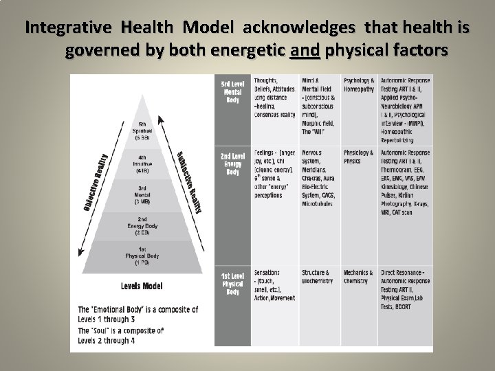 Integrative Health Model acknowledges that health is governed by both energetic and physical factors