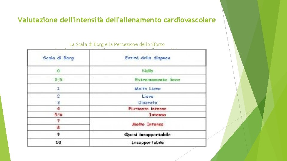 Valutazione dell'intensità dell'allenamento cardiovascolare La Scala di Borg e la Percezione dello Sforzo valuta Valutazione dell'intensità dell'allenamento cardiovascolare La Scala di Borg e la Percezione dello Sforzo valuta