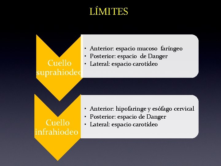 LÍMITES Cuello suprahiodeo Cuello infrahiodeo • Anterior: espacio mucoso faríngeo • Posterior: espacio de