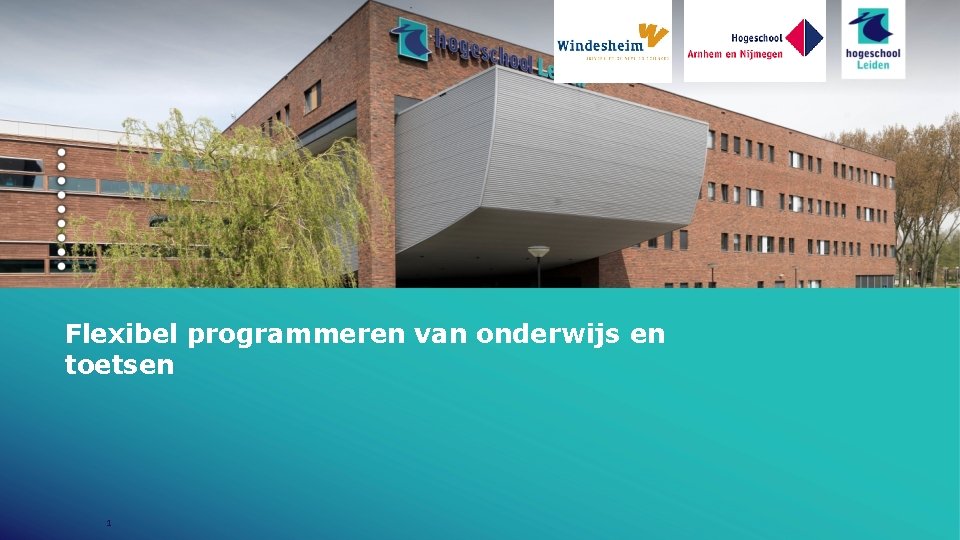 Flexibel programmeren van onderwijs en toetsen 1 