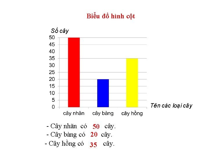 Biểu đồ hình cột Số cây Tên các loại cây - Cây nhãn có