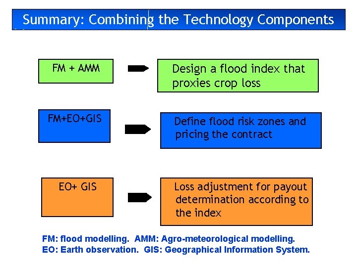 Summary: Combining the Technology Components FM + AMM Design a flood index that proxies