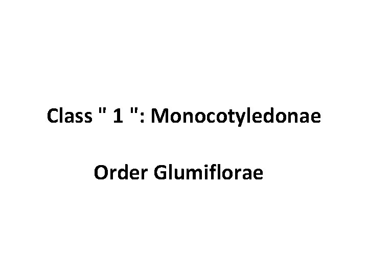 Class " 1 ": Monocotyledonae Order Glumiflorae 
