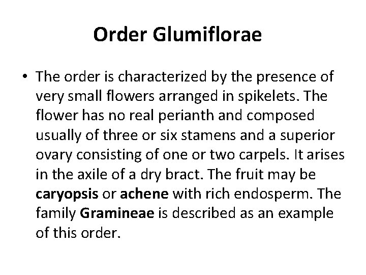 Order Glumiflorae • The order is characterized by the presence of very small flowers