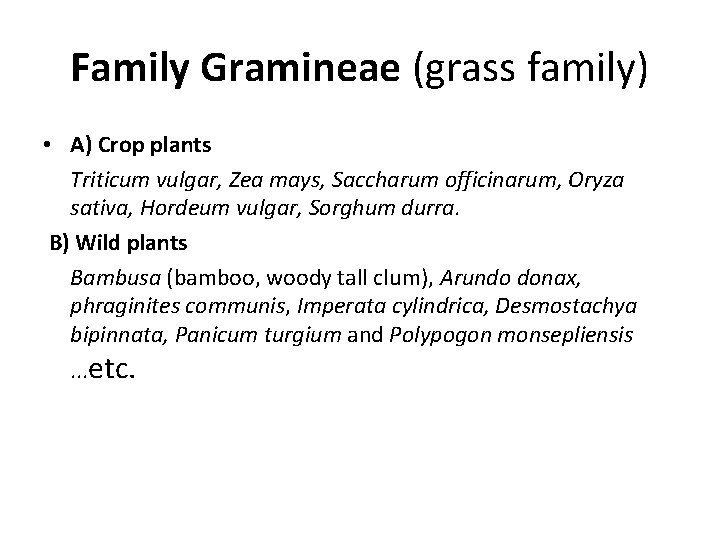 Family Gramineae (grass family) • A) Crop plants Triticum vulgar, Zea mays, Saccharum officinarum,