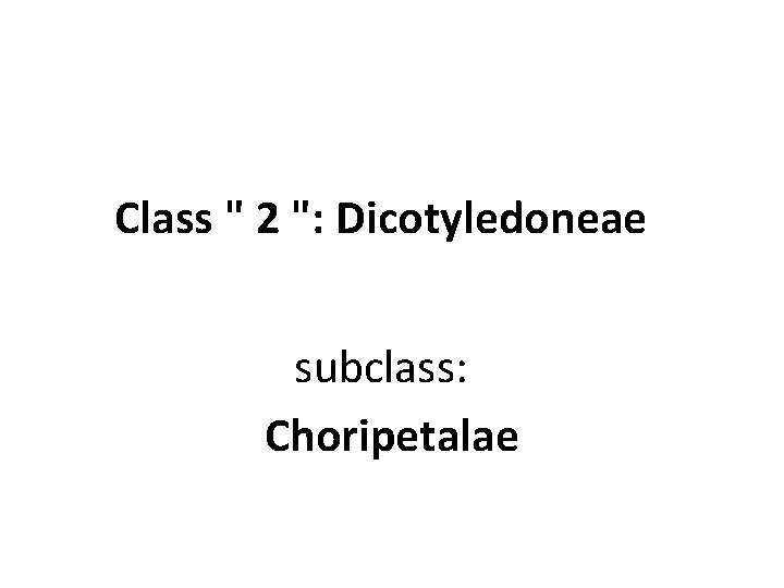 Class " 2 ": Dicotyledoneae subclass: Choripetalae 