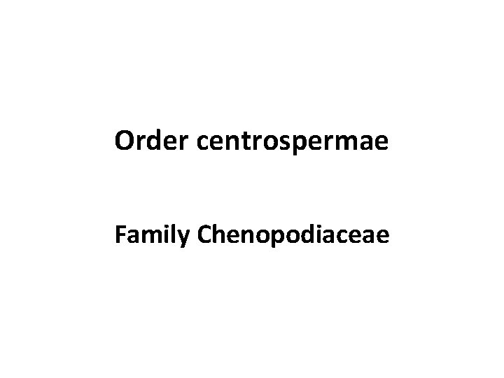 Order centrospermae Family Chenopodiaceae 