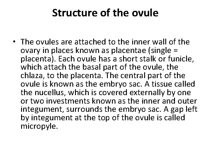 Structure of the ovule • The ovules are attached to the inner wall of