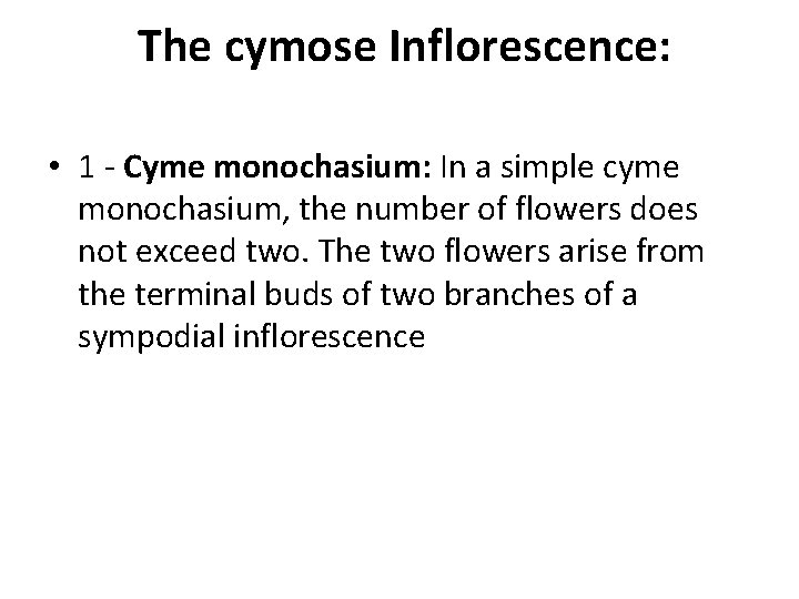 The cymose Inflorescence: • 1 - Cyme monochasium: In a simple cyme monochasium, the