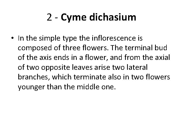 2 - Cyme dichasium • In the simple type the inflorescence is composed of