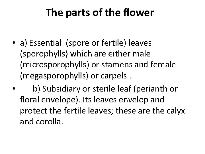The parts of the flower • a) Essential (spore or fertile) leaves (sporophylls) which