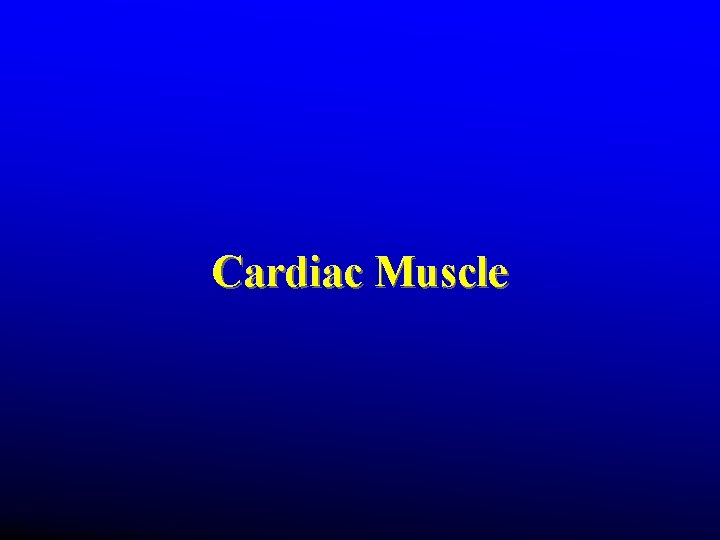 Cardiac Muscle Cardiac Muscle