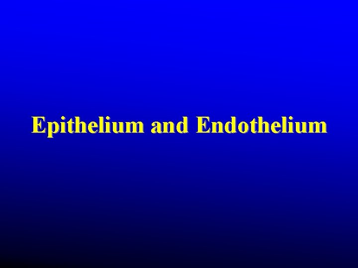 Epithelium and Endothelium Epithelium and Endothelium