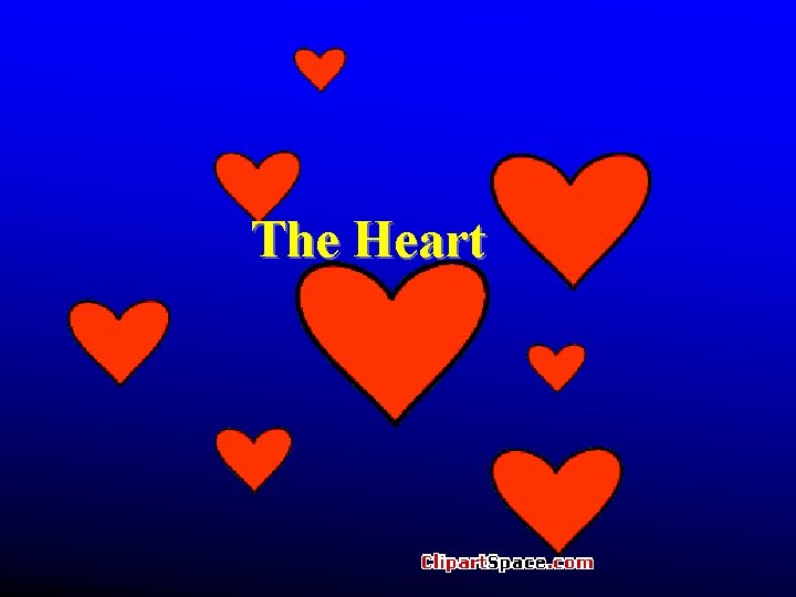 The Heart The Heart